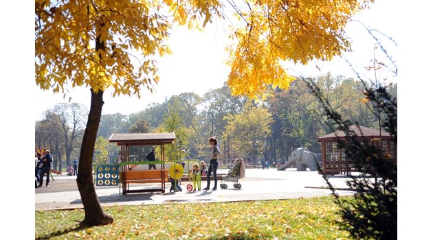 Софиянци се радват на златната есен с разходка в Борисовата градина.