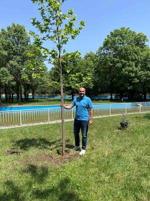 Председателят на Столичния общински съвет Георги Георгиев със засадения от него чинар в Северния парк.
СНИМКИ: СОС