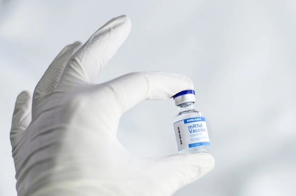 Испанската ваксина срещу коронавирус ще бъде готова до средата на годината.
Снимка: Пиксабей