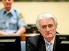 Осъденият за геноцид Радован Караджич иска справедлива, а не "очаквана" присъда