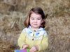 Британската принцеса Шарлот тръгва на детска градина през януари