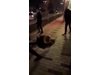 Трима младежи пребиха жестоко свой връстник в Русе (Видео 18+)