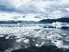 Антарктическият морски лед с най-голям спад от над 40 години насам