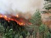 Пожар гори във вилна зона между Самоков и Боровец