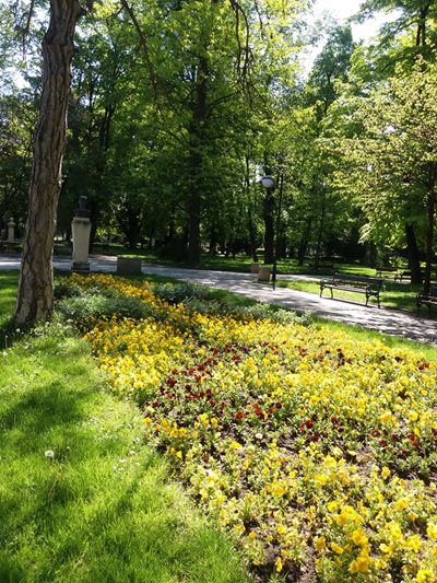 Цар Симеоновата градина в момента ухае на свежест и зеленина. Снимки: Деси Йорданова