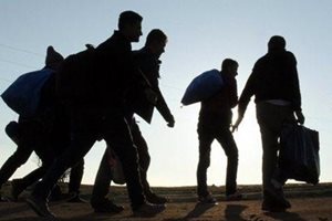 647 мигранти са настанени в приемни центрове в Сърбия