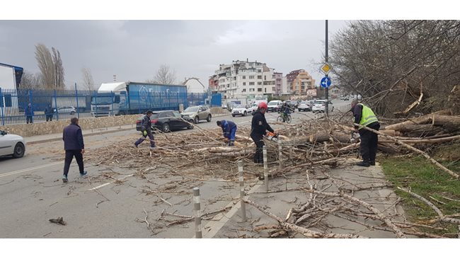 The man is in serious condition, a branch fell on him because of the wind from the Sahara