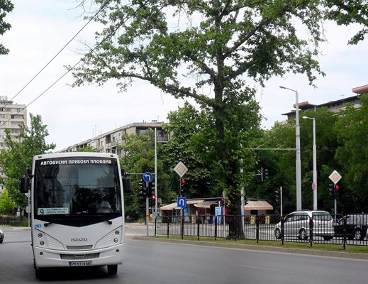 Автобусите по бул. "Санкт Петербург" ще променят за час маршрутите си.