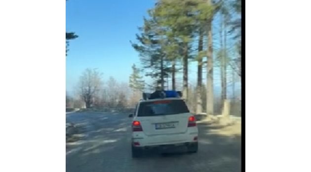 Опасно шофиране на Витоша, докато мъж се вози върху покрива на автомобил 
Кадър; бТВ