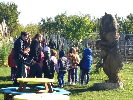 Площите са затревени, за децата има място за игра - всичко е както в природата.