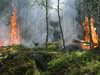 Мълния предизвика и пожар в Бобовдолско, изгоряха 2дка гора