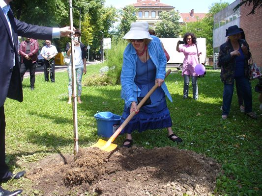 През май 2016 г. Татяна Лолова получи приза "Златната липа" за цялостния си принос в българското кино и засади своя липичка в Алеята на липите в Стара Загора. 
