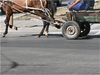 Пиян с каруца предизвика катастрофа в София, конфискуват коня