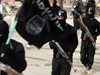 "Ислямска държава" е загубила една четвърт от територията си през миналата година