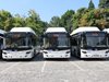 Автобуси за 10 млн. лв. ще купува “Юнион Ивкони”