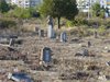 Срамна случка с хора и гробище
