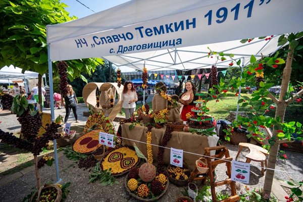 Уникални щандове с череши на празника в Кюстендил. СНИМКИ: Община Кюстендил