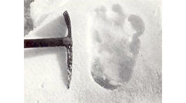 СЛЕДИ: Заснетите от Ерик Шиптън стъпки през 1951 г.