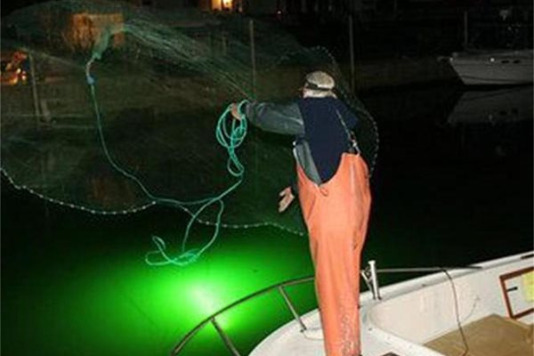 Рибар хвърля мрежа, светейки си със специалната лампа 
СНИМКИ: “24 ЧАСА” И АРХИВ