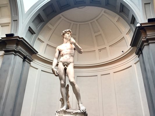 Статуята на Давид, дело на Микеланджело, днес се намира в галерията на Академията във Флоренция  / СНИМКА Виолина Христова