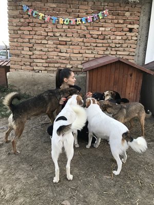 Валерия с кучетата в приюта