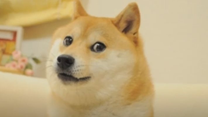 Почина кучето, вдъхновило мийма Doge