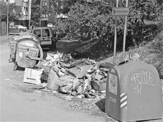 Вупреки високите такси смет, боклукът в София често остава неприбран. Снимка: Архив