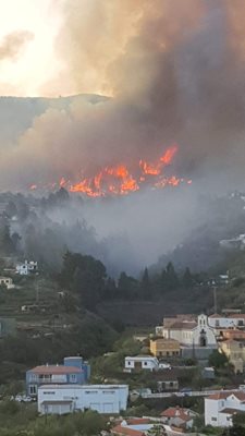 На стопкадър от видео се виждат мащабите на избухналия пожар в Ла Палма. 
СНИМКИ: РОЙТЕРС