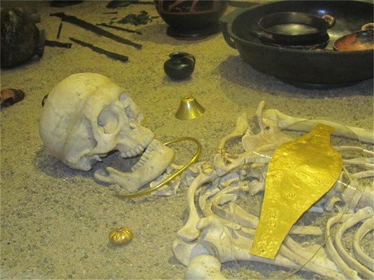 Основните находки от тракийското съкровище са представени в Трезорната зала на Археологическия музей във Велико Търново, където е реконструирана гробницата на династа