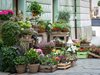 МОСВ: По пролетните празници избягвайте покупка на цветя и клонки от нерегламентирани търговци