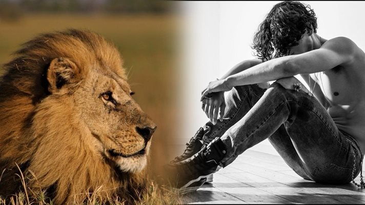 Лъв разкъса мъж в зоологическа градина в Индия