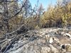 Гърция: Вятърът разпали пожара край границата с България