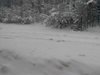 Ограничено е движението на МПС над 12 т през Ришки проход, поради снеговалеж