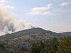 Пожарът в Ардинско се разраства (Видео)