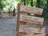 Екозащитници блокираха открита мина край гората Хамбах в Германия