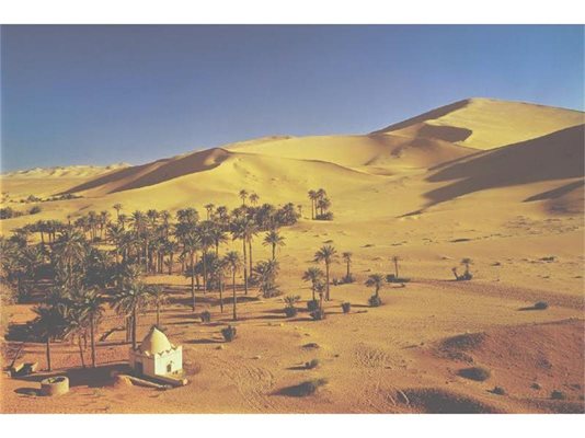 Алжир - от Тарзан до марсианските богове