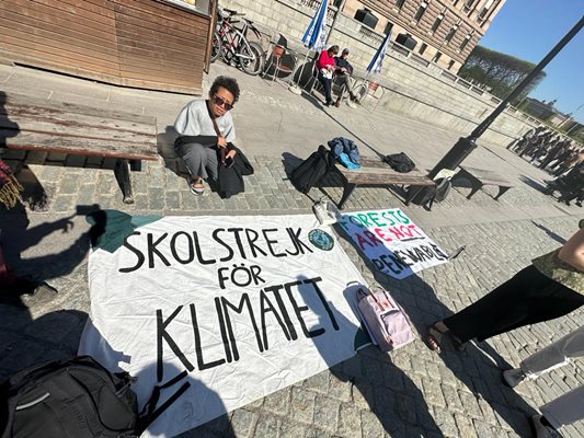 "Училищна стачка за климата" и "Горите не са възобновяеми", гласят два от плакатите.