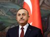 Турция предупреди Германия да не се меси във вътрешните й работи