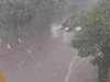 Бургас разчиства дървета и клони след вчерашната буря