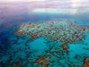Риба-птицечовка е обитавала австралийски риф