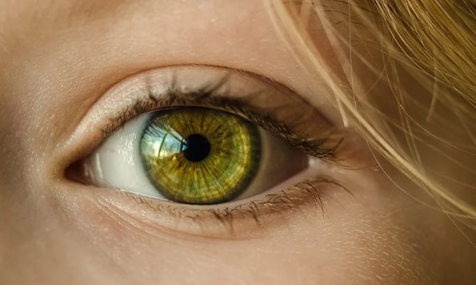 Увреждането на ретината поради гибелта на светлочувствителни клетки е една от основните причини за загуба на зрението.