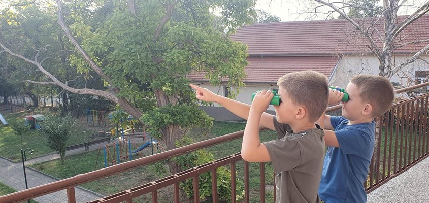В най-старата детска градина в Лом децата изучават птици от специални центрове за наблюдение
