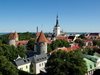 Естония одобри използването на замразени руски активи за Украйна