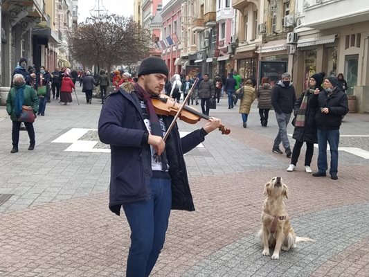 Моцарт продължава да внася настроение с цигулката и кучето си.