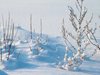 110 сантиметра сняг натрупа край Тетевен, до Ловеч и Троян наполовина