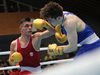 България праща каре боксьори на „Златен гонг" в Скопие