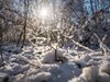 Румънски учени: Снегът е безопасен за ядене, ако не е на повече от половин ден