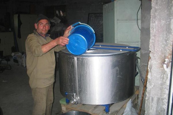 Дядо Исеин ще пренася млякото от обора до охладителния гюм, докато Меди е на екскурзия в Турция. Снимки: Авторът