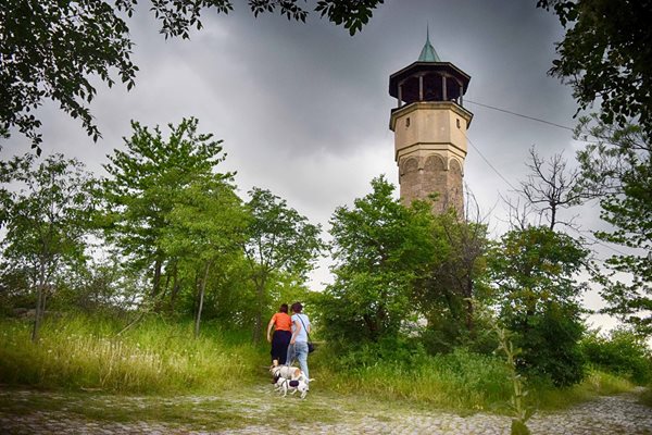 Пролетта преобразява Дановия хълм по чудодеен начин. Снимки: Авторът