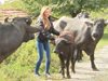 25-годишна рокерка от Велико Търново сама отглежда стадо биволи